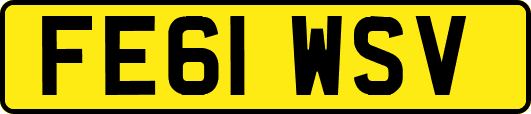 FE61WSV