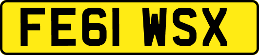FE61WSX