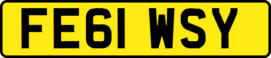 FE61WSY