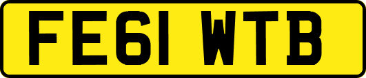 FE61WTB
