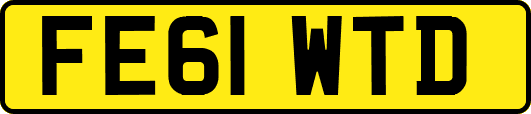 FE61WTD