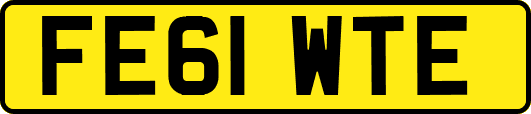 FE61WTE