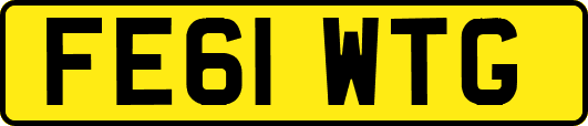 FE61WTG