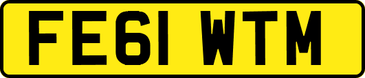 FE61WTM
