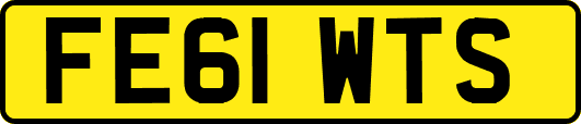 FE61WTS