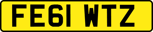 FE61WTZ