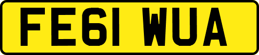 FE61WUA