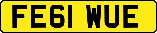 FE61WUE