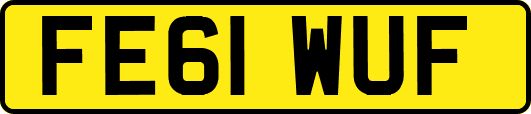 FE61WUF