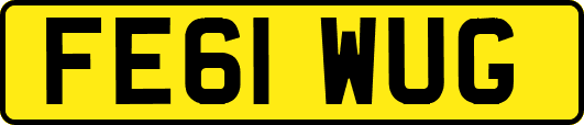 FE61WUG