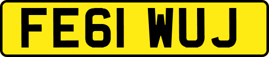 FE61WUJ
