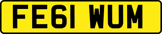 FE61WUM