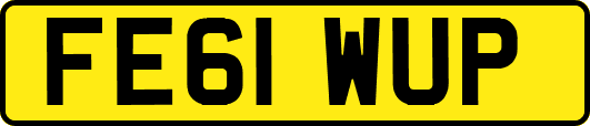 FE61WUP