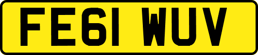 FE61WUV