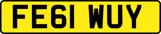 FE61WUY
