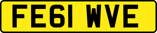 FE61WVE