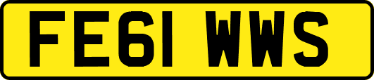 FE61WWS
