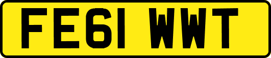 FE61WWT