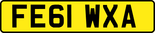 FE61WXA