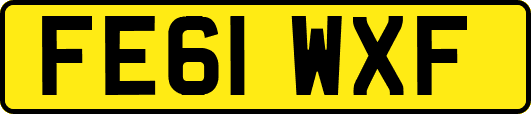 FE61WXF
