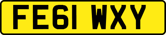FE61WXY
