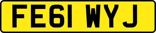 FE61WYJ