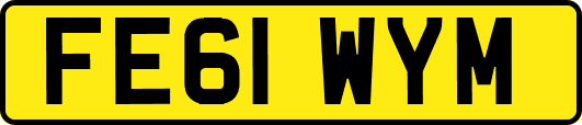 FE61WYM