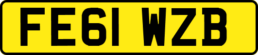 FE61WZB
