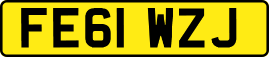 FE61WZJ