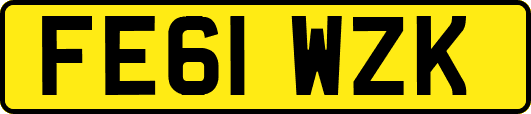 FE61WZK