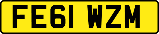 FE61WZM