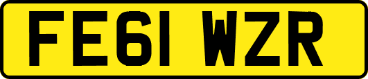 FE61WZR