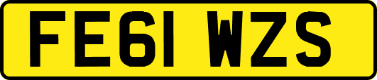 FE61WZS