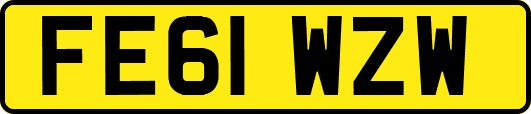FE61WZW