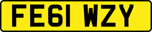 FE61WZY