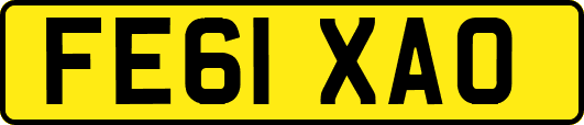 FE61XAO