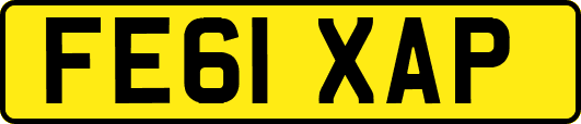 FE61XAP