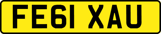 FE61XAU