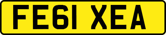 FE61XEA