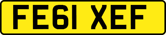 FE61XEF