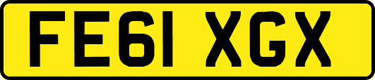 FE61XGX