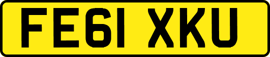FE61XKU