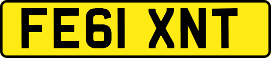 FE61XNT