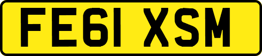 FE61XSM