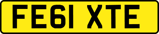 FE61XTE