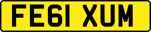 FE61XUM
