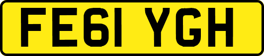 FE61YGH