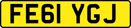 FE61YGJ