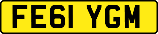 FE61YGM
