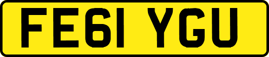 FE61YGU